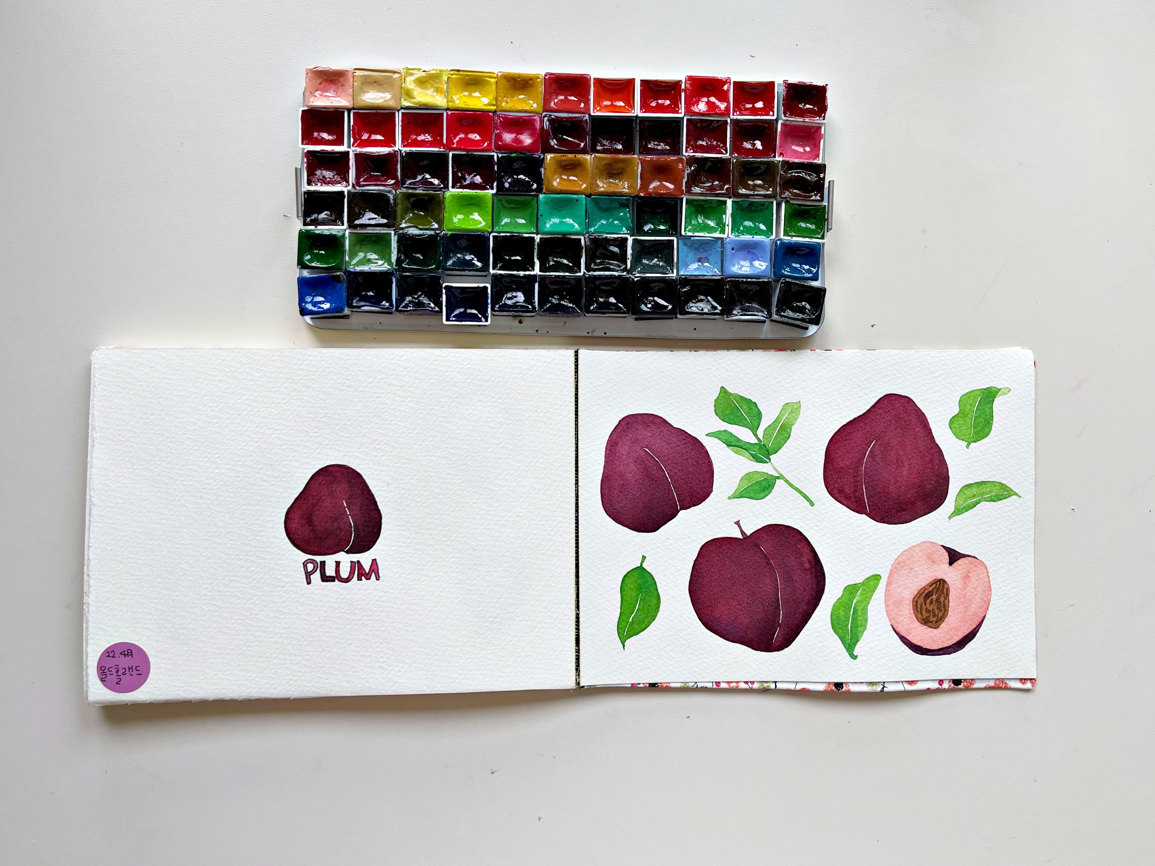 plum_자두그림
