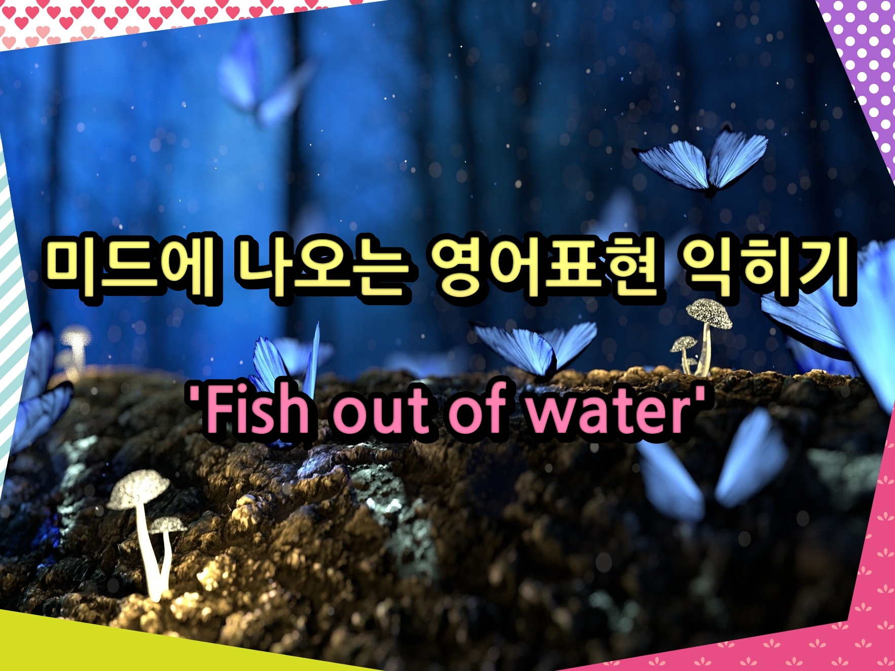 미드에 나오는 영어표현 익히기 &#39;Fish out of water&#39;