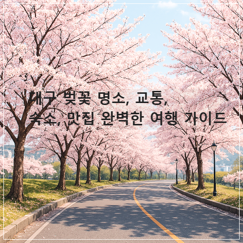 대구 벚꽃 명소, 교통, 숙소, 맛집 완벽한 여행 가이드