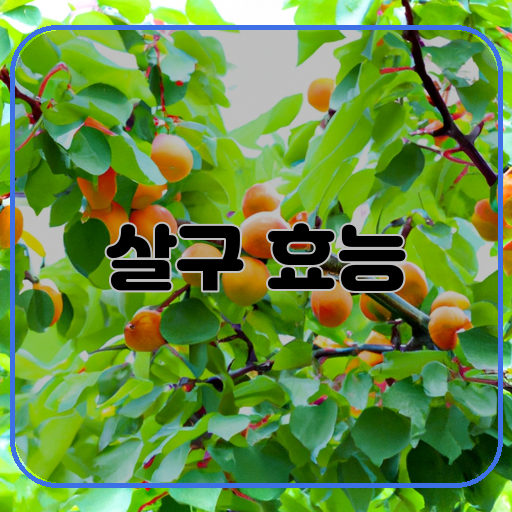 효능-건강-긍정적-영향