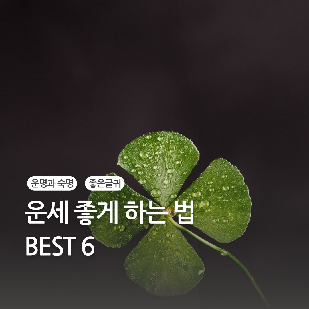 운명과 숙명