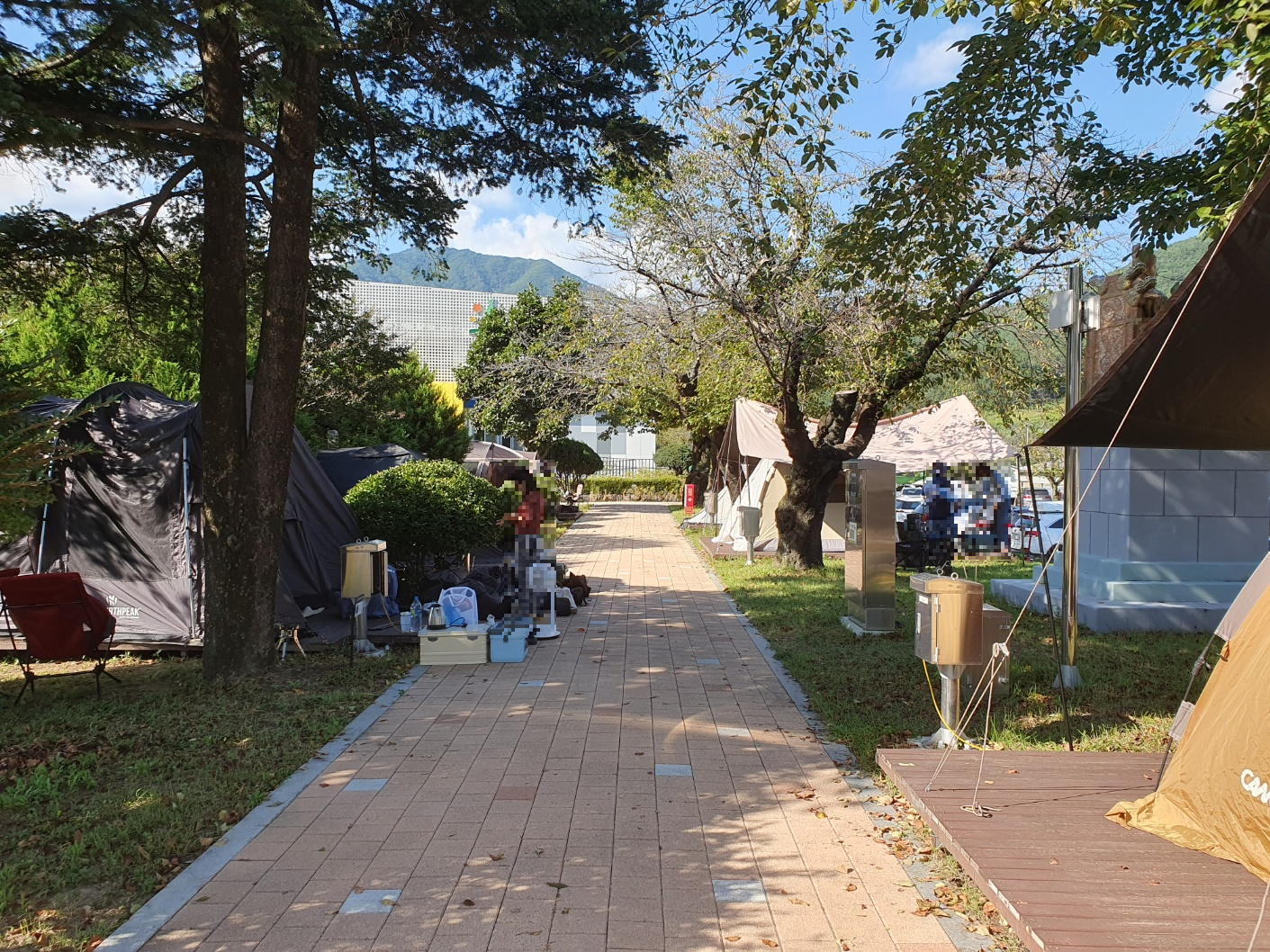 합천 가야산독서당 정글북