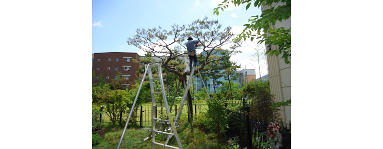 고양 일산서구 조경