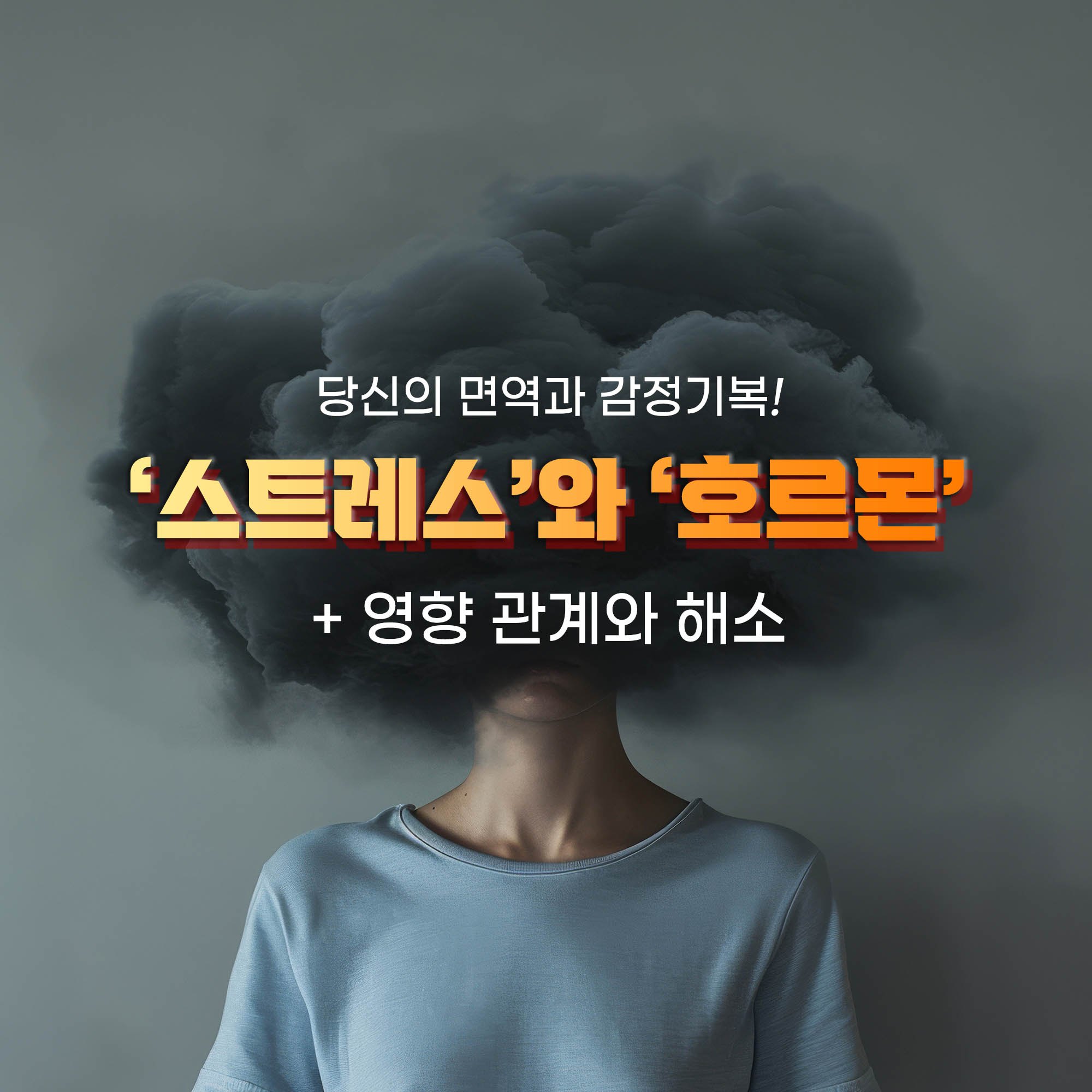 스트레스와 호르몬 메인 이미지