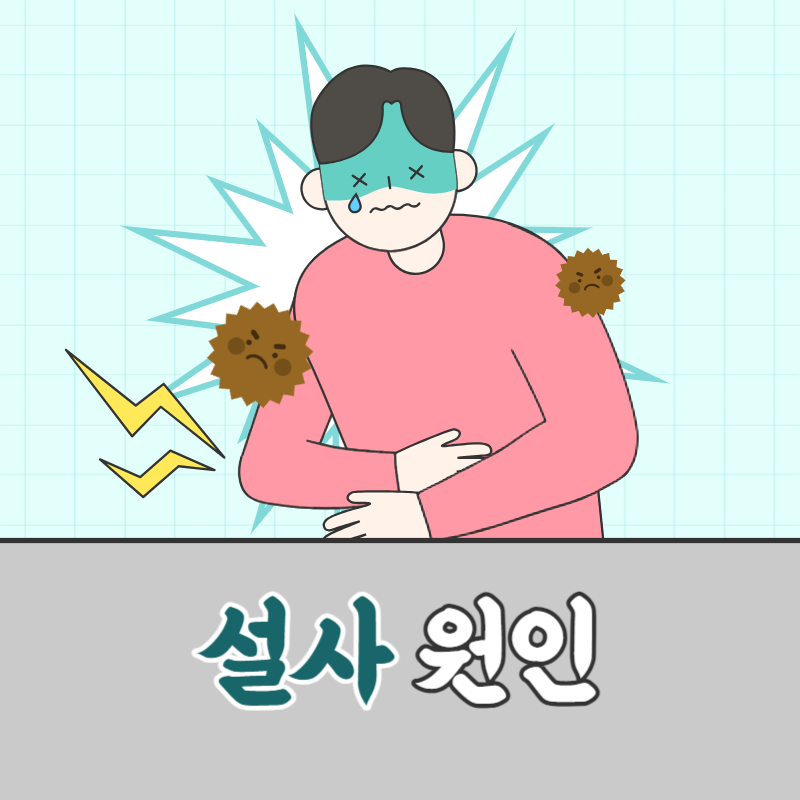 설사 원인