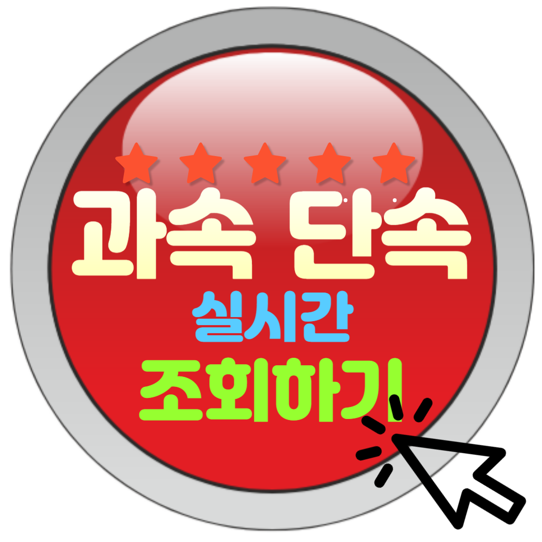  과속 단속 조회 실시간 확인