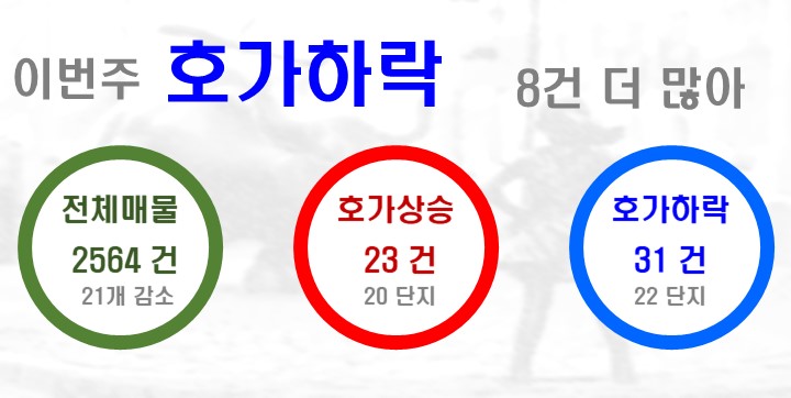 스타일지움 이미지
