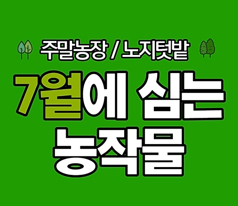  7월에 심는 작물: 햇살 가득한 여름을 위한 3가지 추천 작물