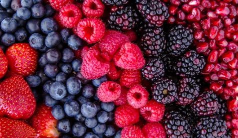 antioxidant