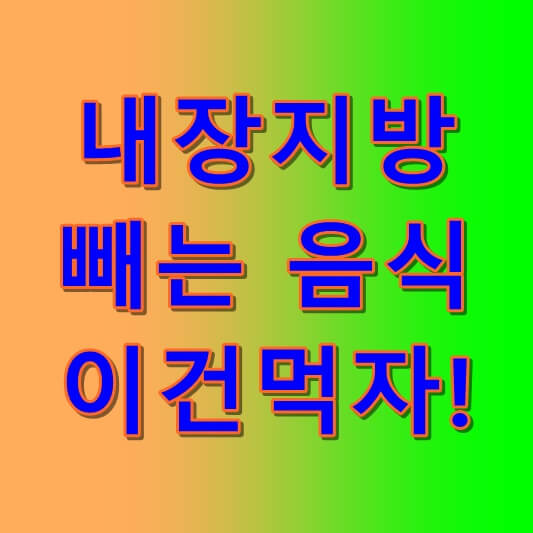  내장지방 빼는 음식 10가지 다이어트 음식 !!