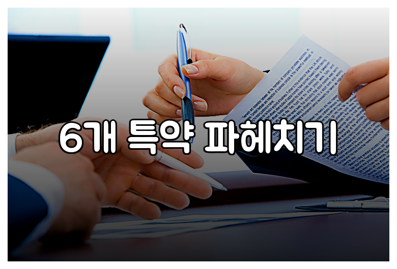 6개 특약 파헤치기