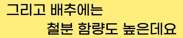  그리고 배추에는 철분 함량도 높은데요