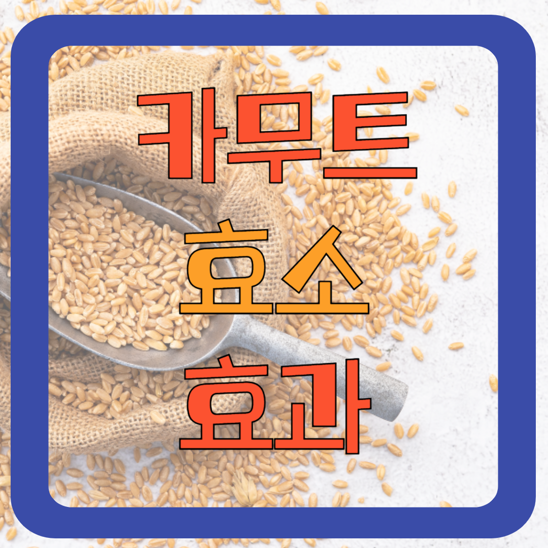 카무트(Kamut) 효소의 효능 효과