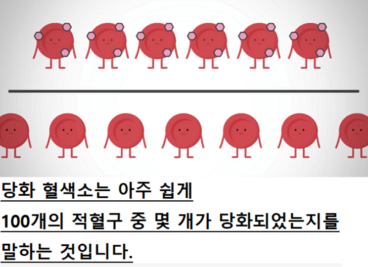 당화된적혈구사진