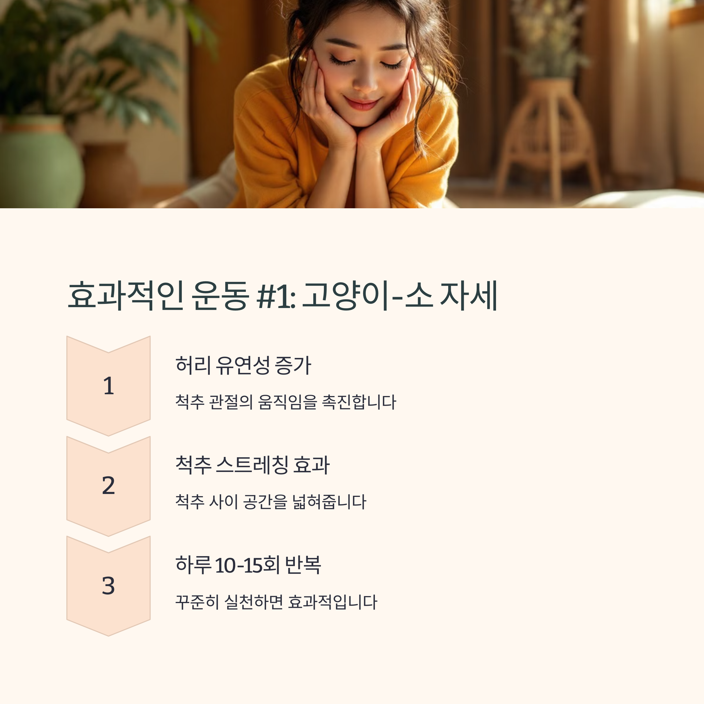 효과적인 운동 #1 : 고양이-소자세