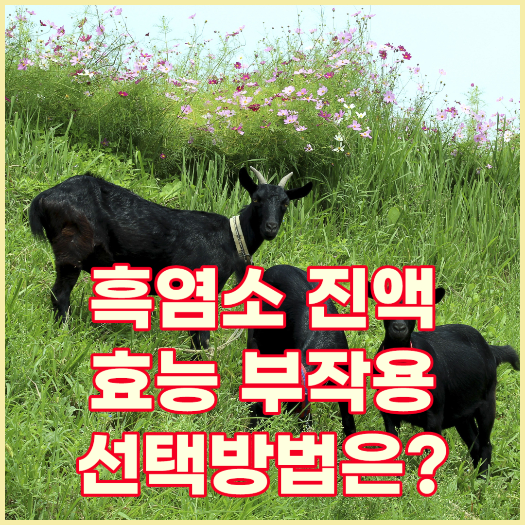 흑염소 진액 효능과 부작용 선택방법에 대해서