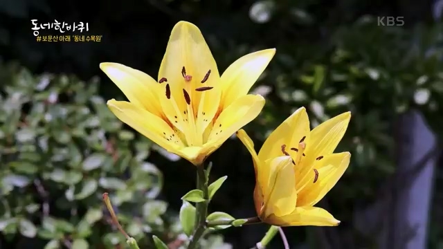 [229회] 동네 한 바퀴 - KBS229회] 동네 한 바퀴.ts_20230807_211854.703.jpg