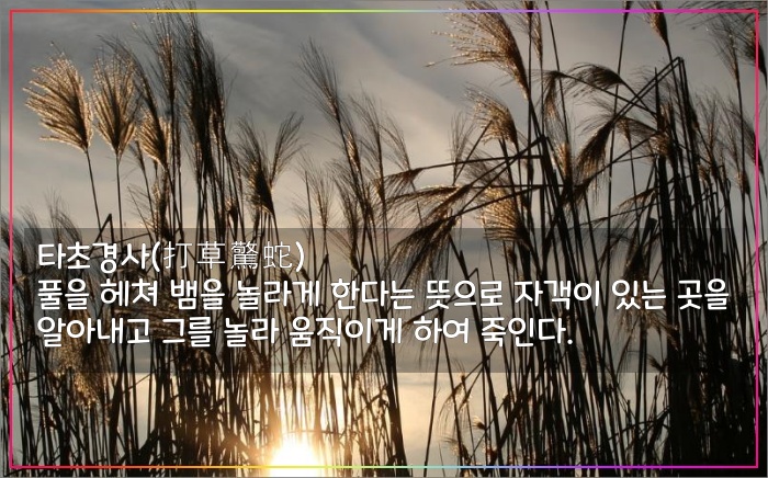 손자병법-타초경사