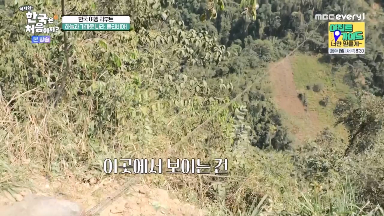 어서와 한국은 처음이지 시즌2.E289.231117p-NEXT.mp4_20231117_201621.400.jpg
