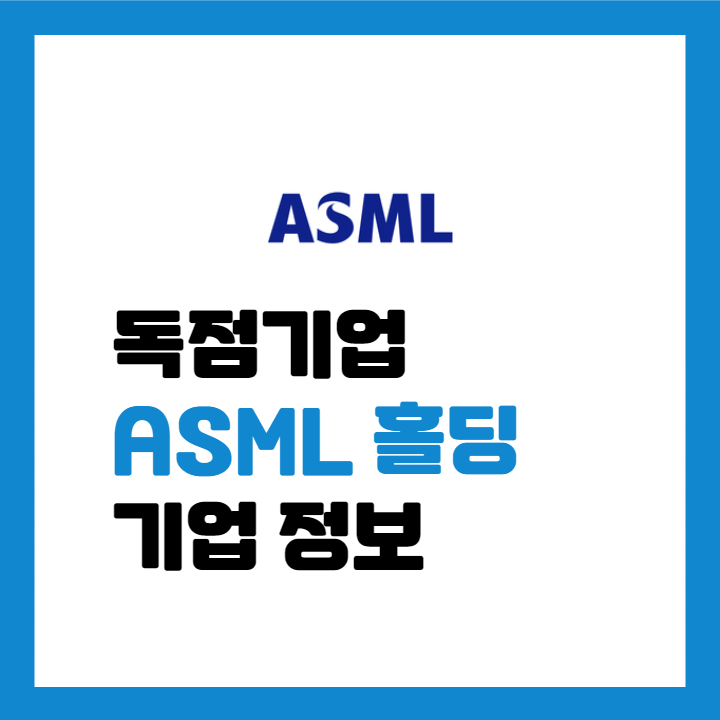 ASLM홀딩-기업정보