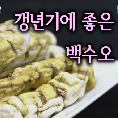  갱년기에 좋은 백수오 효능 부작용 주의사항 /백수오 한속단 당귀 섭취법 /백수오 한방 라떼 백수오 영양환 만드는 방법/白首烏
