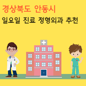 경상북도 안동시 일요일 진료 정형외과 추천