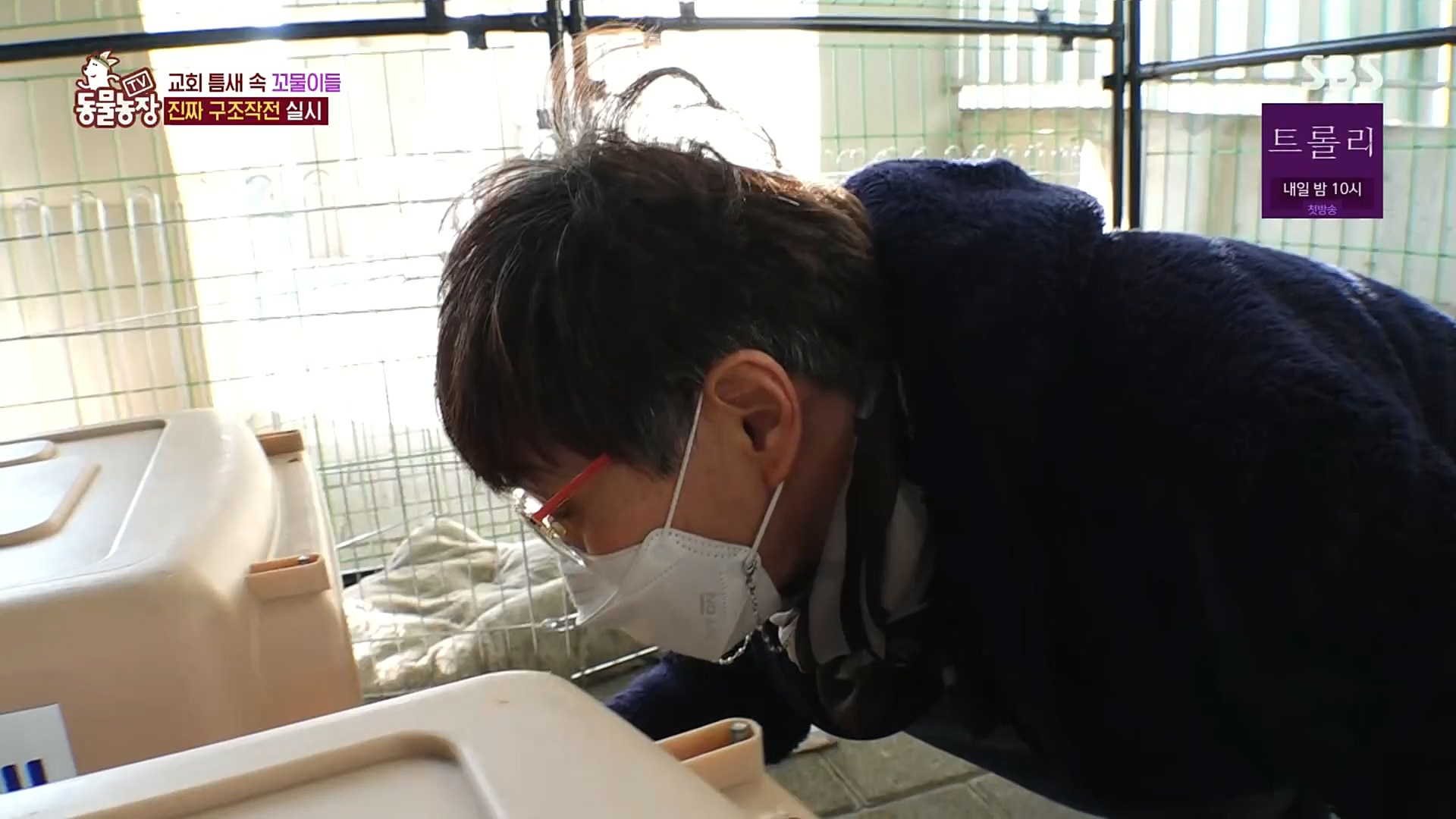 TV 동물농장.E1100.221218p.H264-F1RST.mp4_20221218_183442.145.jpg