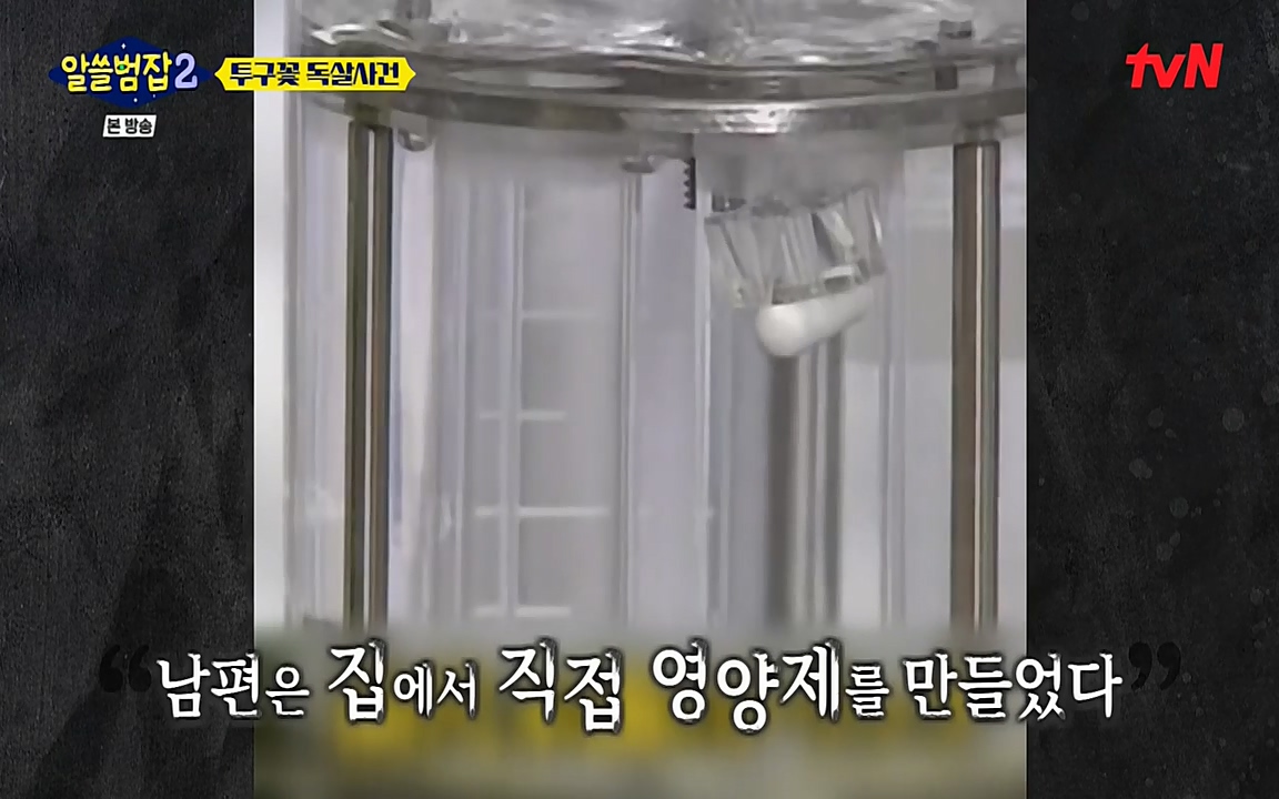 알쓸범잡 2.E15.220425p-NEXT.mp4_20220425_180051.980.jpg