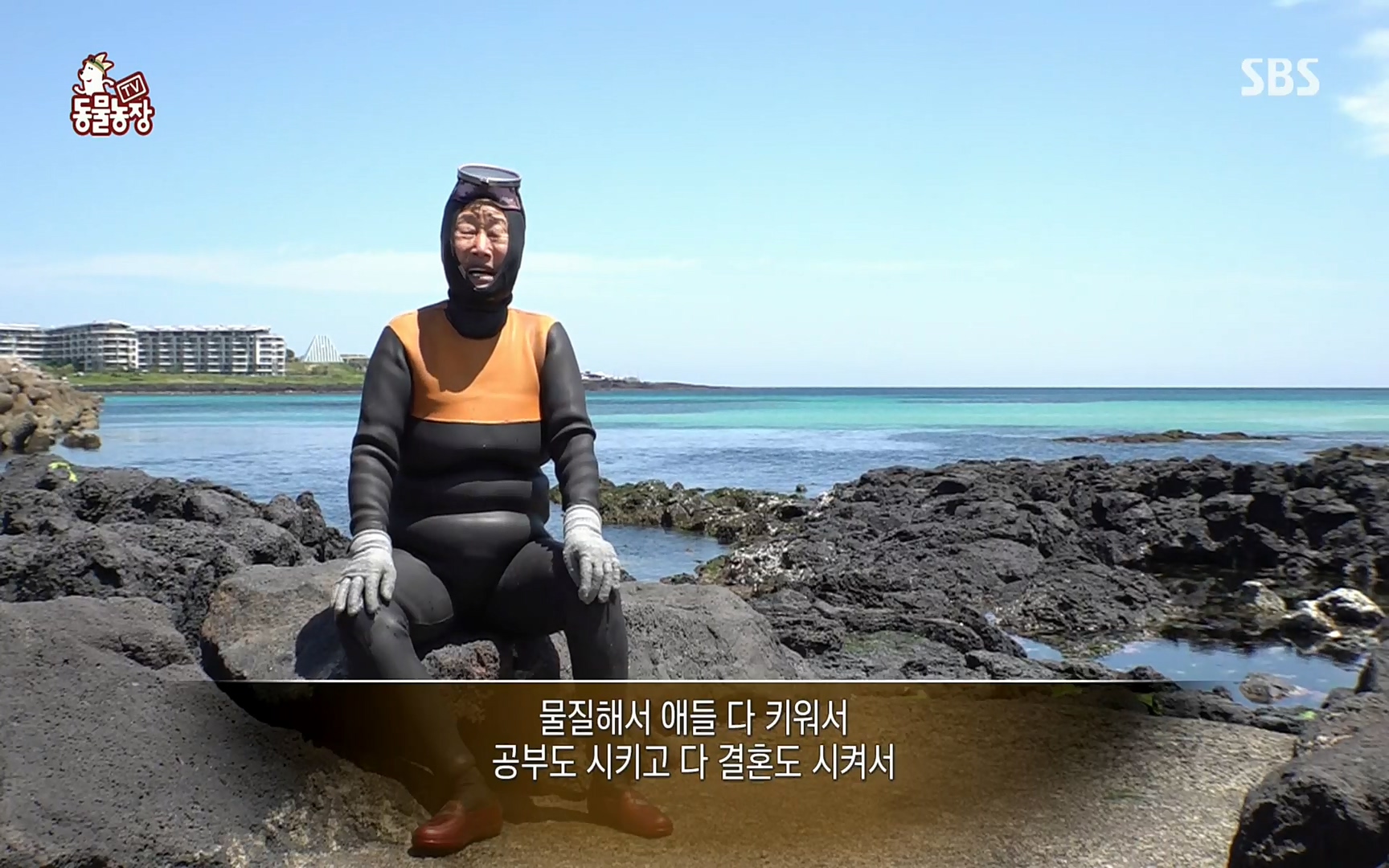 TV 동물농장.E1073.220612p.H264-F1RST.mp4_20220612_180428.138.jpg