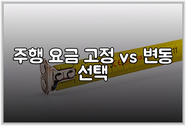 주행 요금 고정 vs 변동 선택