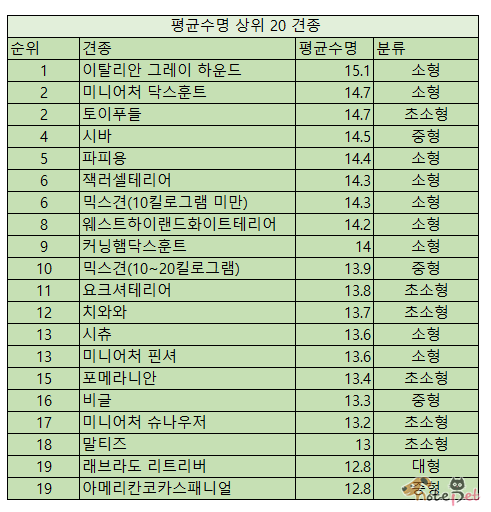 평균수명top20 견종