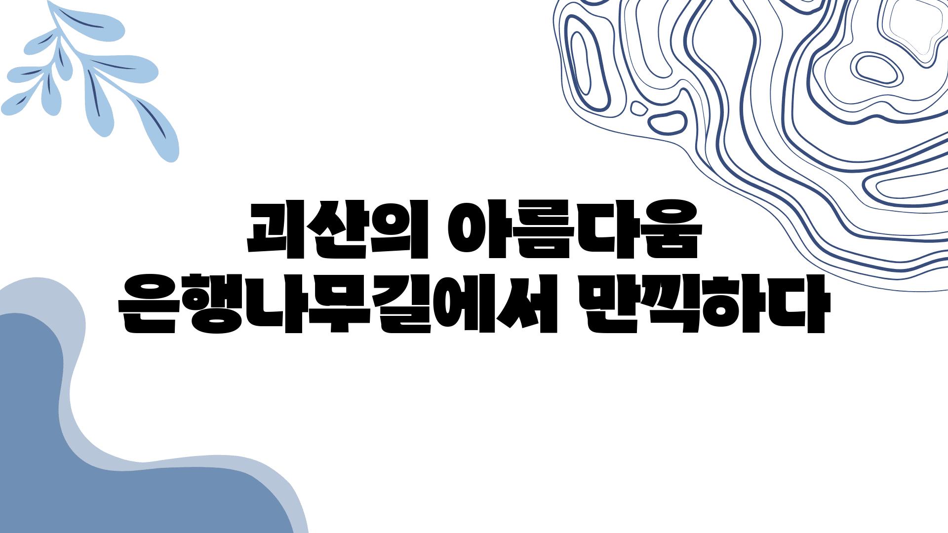 괴산의 아름다움 은행나무길에서 만끽하다