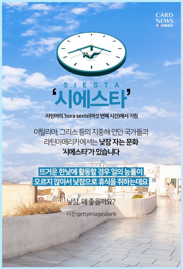 시에스타 이미지