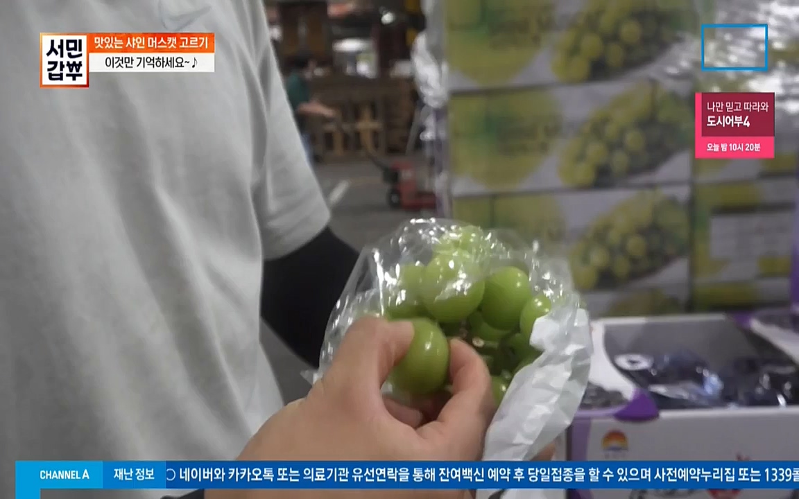 독한인생 서민갑부.E399.220904p-NICE.mp4_20220904_165309.245.jpg