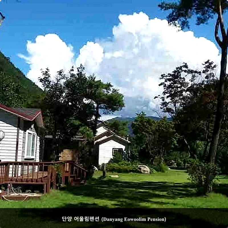 단양 어울림펜션 (Danyang Eowoolim Pension)_3