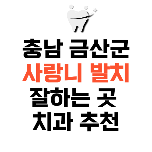 충남 금산군 사랑니 치과 발치 잘하는 곳 추천 매복 가격 비용.png