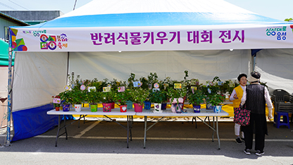 음성 품바축제 일정 초대가수 주차장 셔틀버스