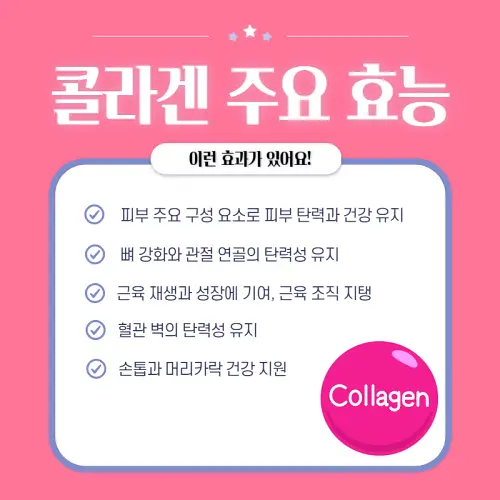 콜라겐의 효능 효과