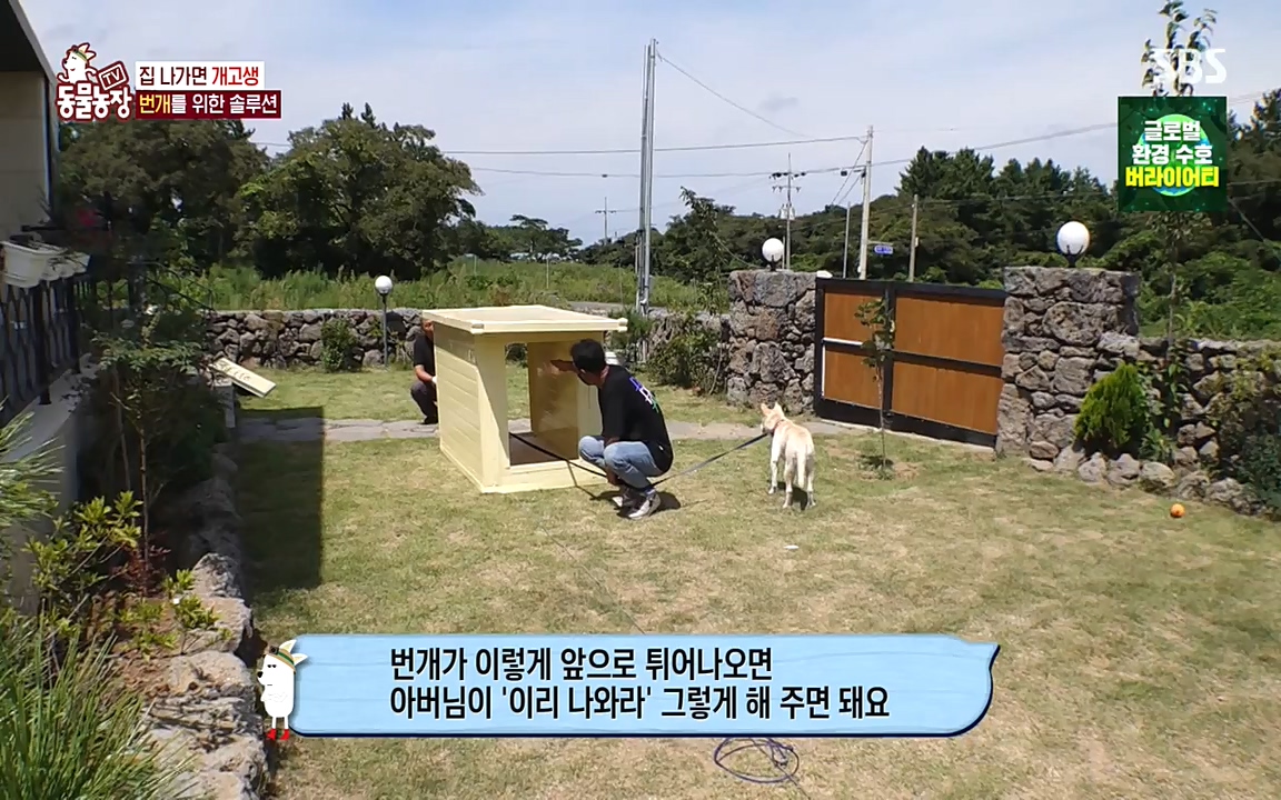 TV 동물농장.E1087.220919p-NEXT.mp4_20220918_180228.522.jpg