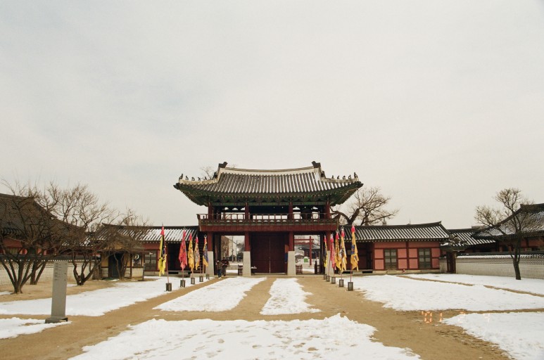 중고 펜탁스 SF7 자동차 필름 카메라 이야기. 결과는 9개월만에 나왔다. 19