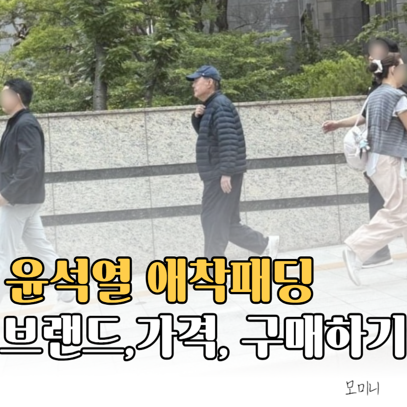 윤석열 애착 패딩 브랜드·가격·목격담 구매하기