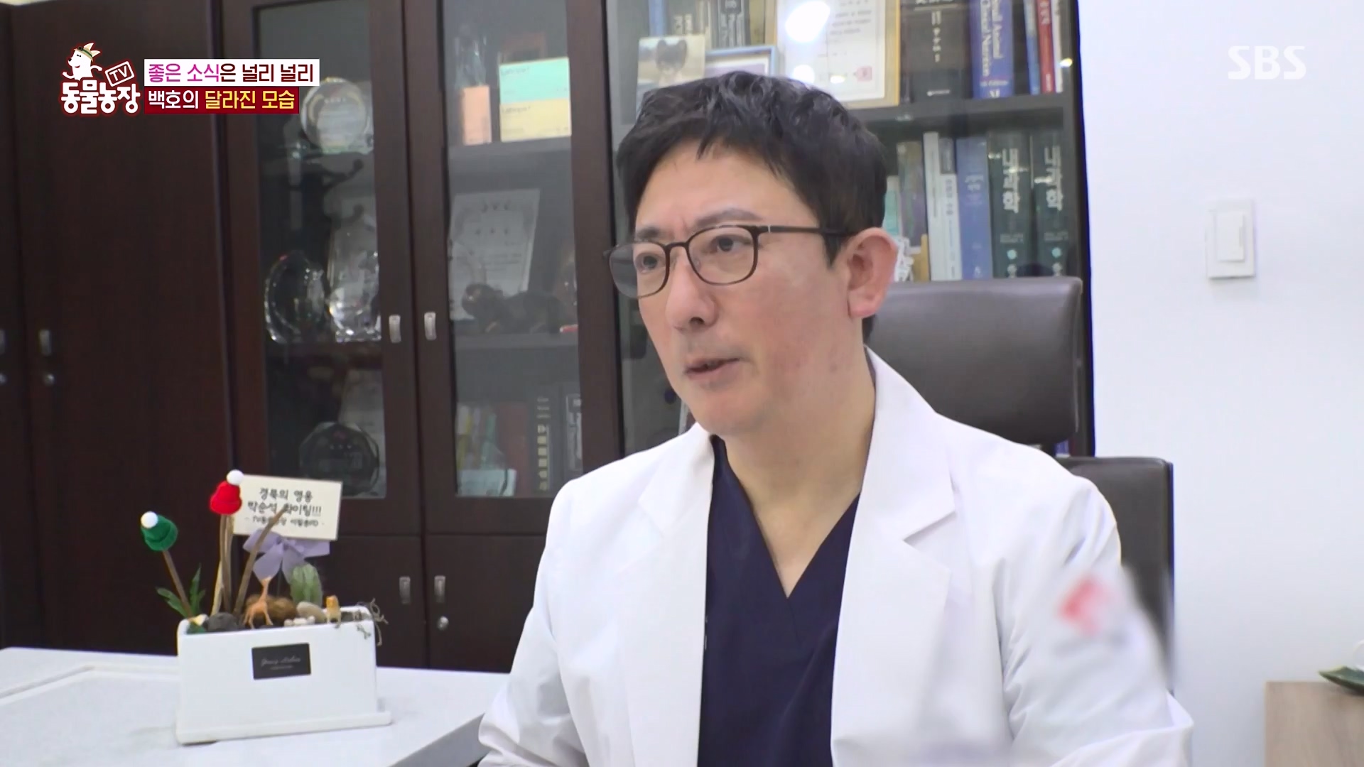 TV 동물농장.E1151.231224p-NEXT.mp4_20231224_154143.444.jpg