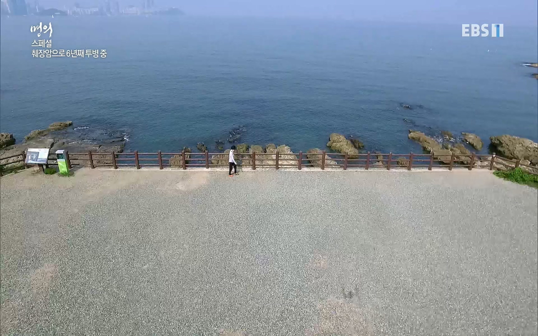 EBS 명의 헬스케어 - TV - 교육의 중심 EBS[명의 스페셜] 공포의 암, 췌장암, 담도암, 담낭암.mp4_20220902_210904.193.jpg