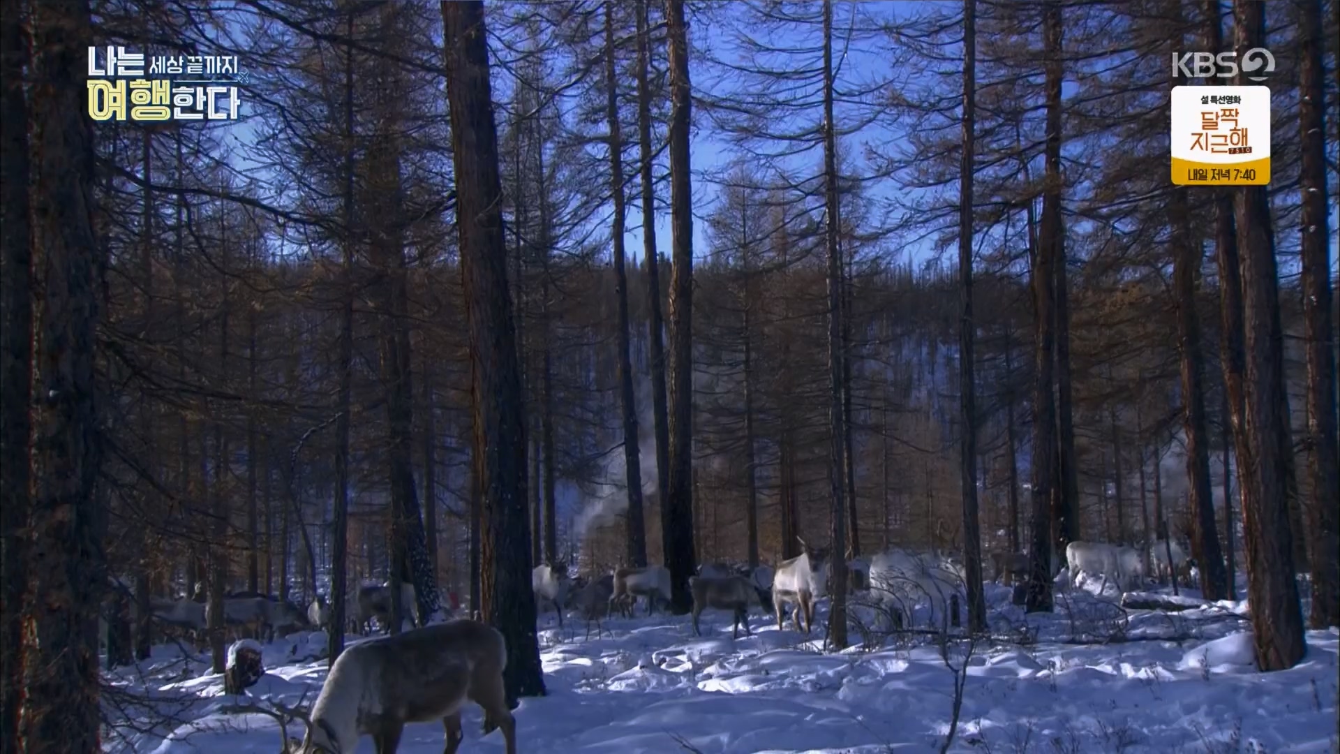 설 특집 나는 세상끝까지 여행한다.240211p.H264-F1RST.mp4_20240213_203532.602.jpg