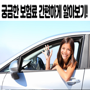  전연령자동차보험 자동차보험나이 확실한 견적