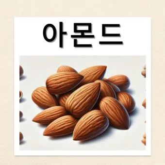 아몬드 효능 하루 섭취량 칼로리_12