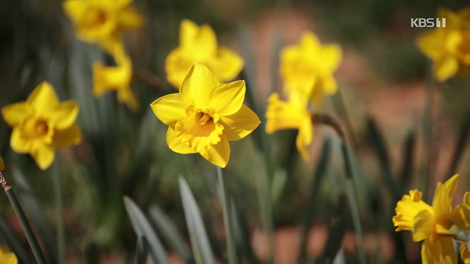 다큐 On.E201.230610p.H264-F1RST.mp4_20230611_165928.250.jpg