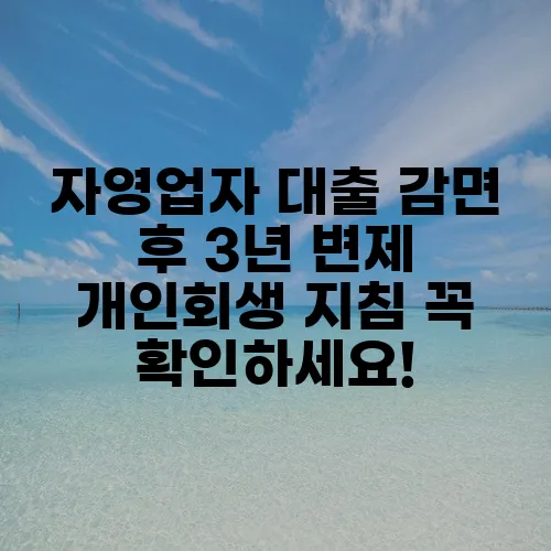 자영업자 대출 감면 후 3년 변제 개인회생 지침 꼭 확인하세요!