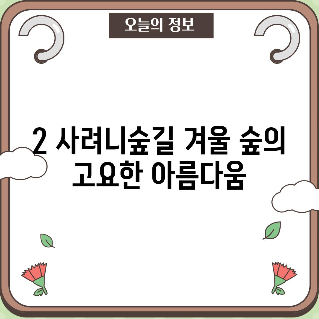 2. 사려니숲길: 겨울 숲의 고요한 아름다움