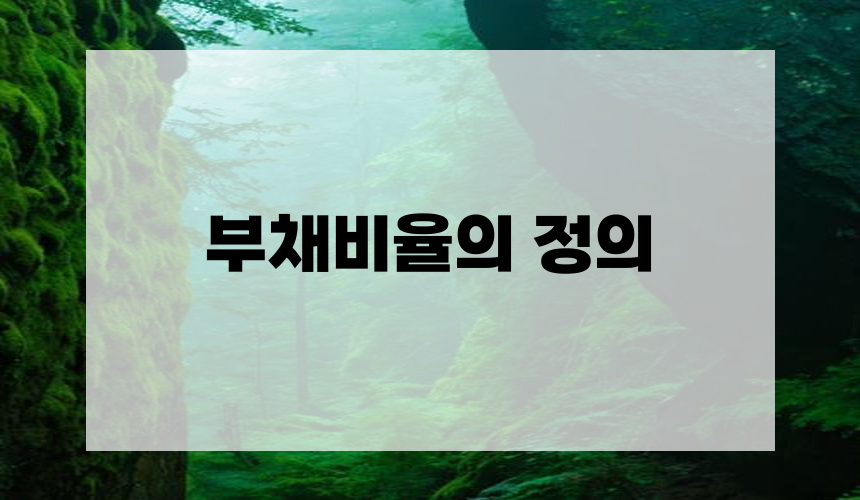1. 부채비율의 정의